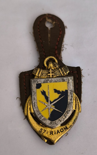 Insigne riaom régiment - insigne,