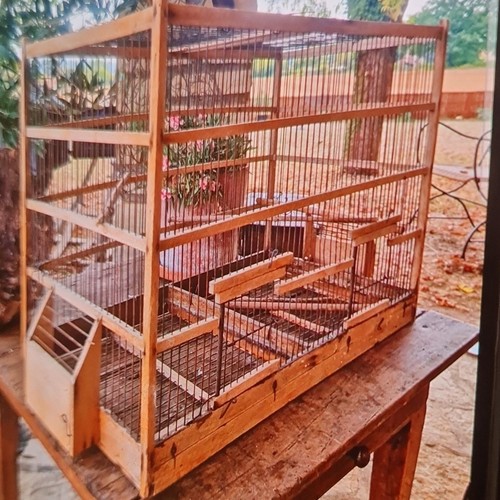 Cage oiseaux table bois - cage,