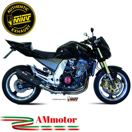 Mivv kawasaki 1000 2004 pot - 2004,