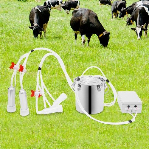 Electric cow milker - cow, milking