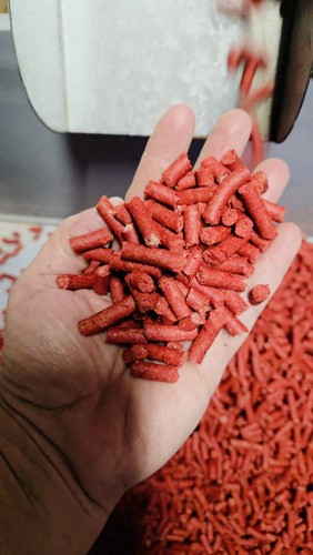 10kg pellets asticots - de,