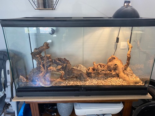 Terrarium vivarium - terrarium,