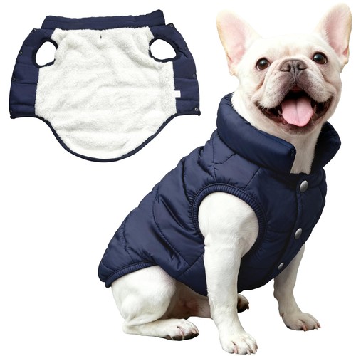 Manteau chien hiver - chien,