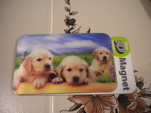 Golden retriever puppies - puppies, 3d