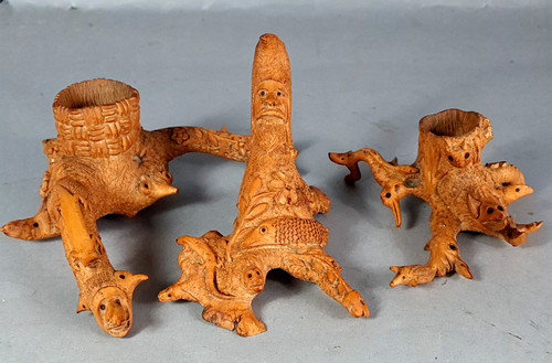 Curieuses racines buis - 3,