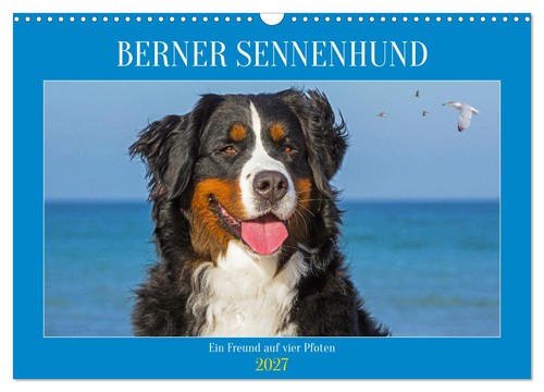 Calendrier 2027 french - calendrier,