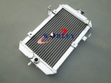 Aluminum Radiateur Pour