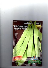 Fag. Nain Sans Thread Bac Plat