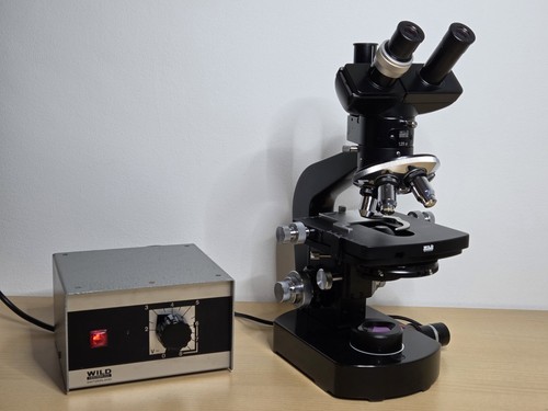 Microscope contraste de - à,