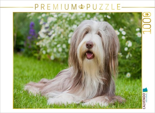 Calvendo puzzle bearded - calvendo,