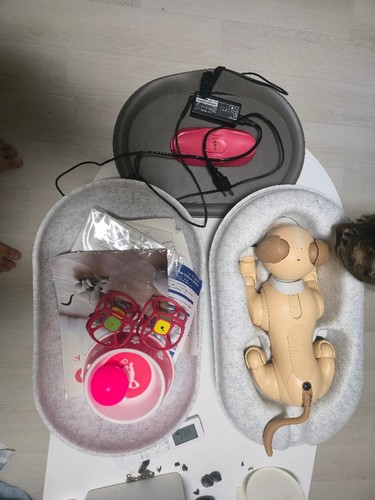 Sony aibo ers 1000 - aibo, ers-1000