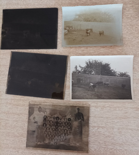 Photos sur verre beziers - 3,