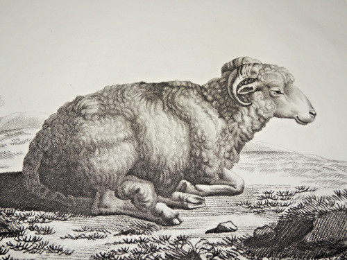 Gravure 19ème siècle - du,