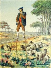 FOLKLORE - BERGER LANDAIS sur ses ÉCHASSES - Gravure en couleur du 19eme siècle