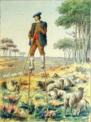 Folklore berger landais sur - folklore,