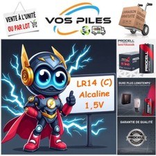 Piles LR14 C MN1400 AM2