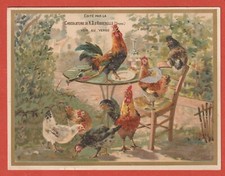 LARGE CHROMO - AQUUEBELLE CHOCOLATE - CHICKENS AND ROOSTER - DEBUT 1900