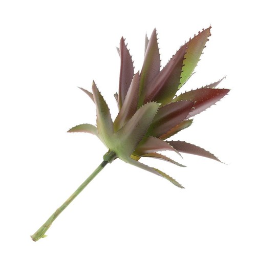 Artificielles succulentes - artificielles,
