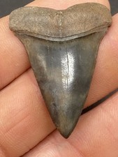 1.65'' / 4,1 cm - Huge quality