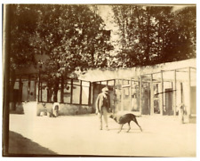 France, Douy, Chenil de Douy vintage citrate print citrate print 10x13