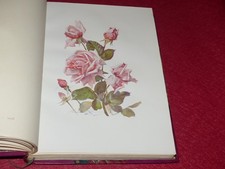 BOTANIQUE FLEURS / 51