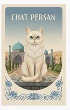 Affiche Poster Chat Persan