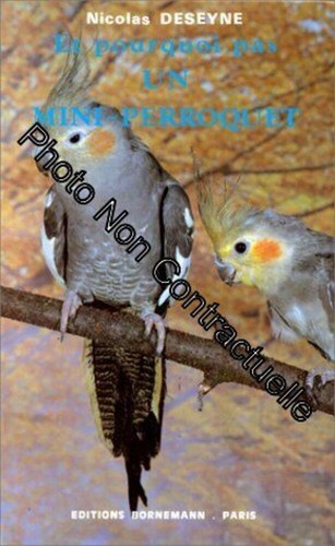 Pourquoi pas un - et,
