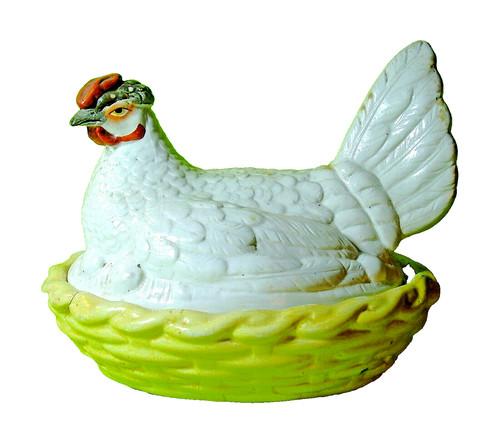 Poule boite a oeufs - poule, 19°