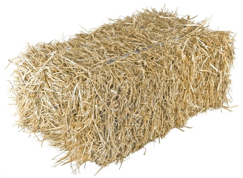 Medium straw bale - medium, by