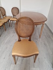 ensemble Table+ 6 Chaises