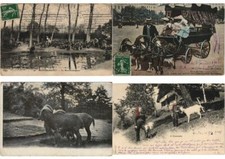 GOATS CHEVRES 33 Vintage ANIMALS Postcards (L3642)