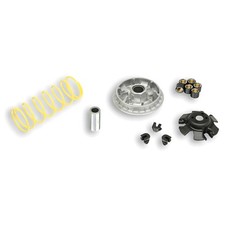 Variomatic Vario Malossi