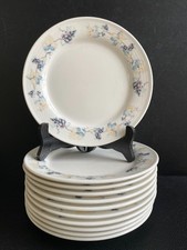 🍇 Lot de 11 assiettes à