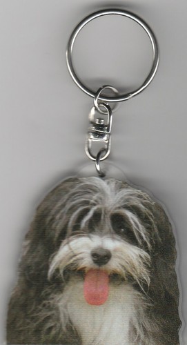 Bichon havanais chien porte - bichon,