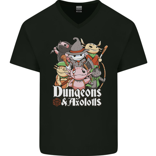 Jeux rôle dungeons - de,