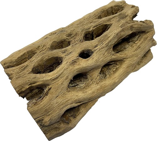 Cholla wood hollow tube 6in - cholla,