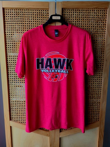 District hawk volleyball - district,