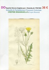  XVIII/XIX è - CREPIDE