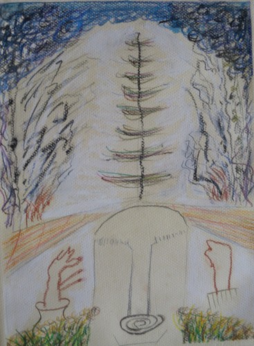Pino della selva - della,
