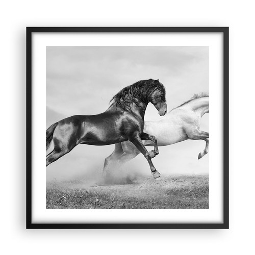 Affiche poster 50x50cm - poster,