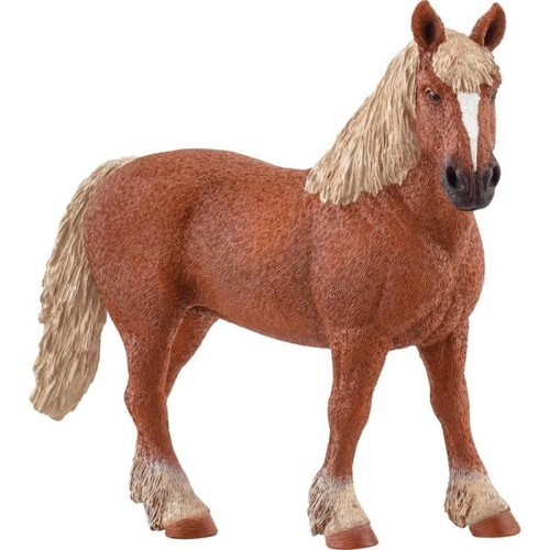 Cheval trait belge - de,