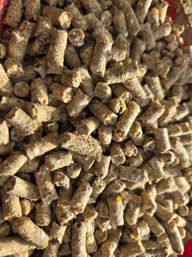Pellets carpe complet - pellets,