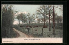 Old postcard Draveil, La Foret de Senard 