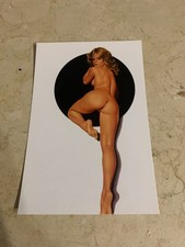 CARTE POSTALE 15X10 ASLAN PIN UP LUI 