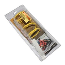 Ressort d embrayage Malossi pour Scooter Honda 125 PCX S 2018 à 2021 Neuf