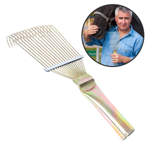 Brosse pour chevaux - pour,