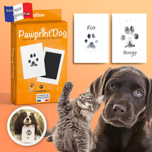 Kit empreinte chien tampon - kit, chien,