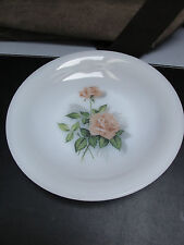 Arcopal Hollow Plate