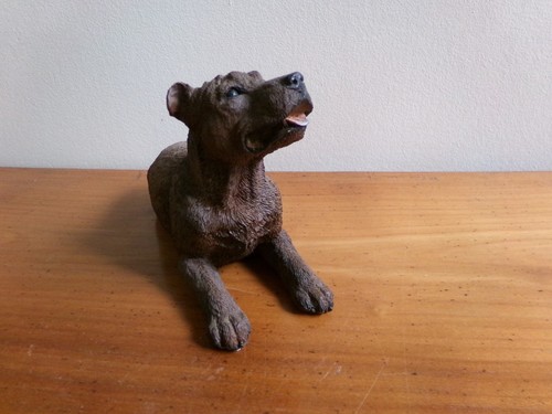 Staffordshire bull terrier - staffordshire,