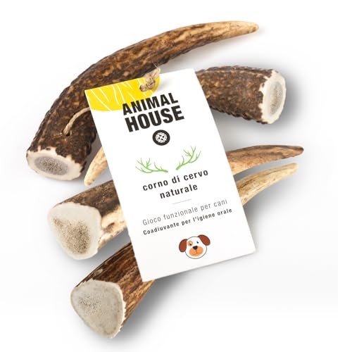 Animal house pièces bois - animal, de